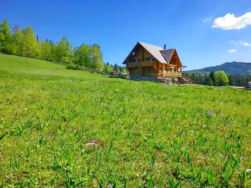 Felsőgirda Szállás | Panzió (K0837-1) A kép szerzői jogvédelem alatt állhat. Javasolt a kapcsolatfelvétel a jog tulajdonossal.