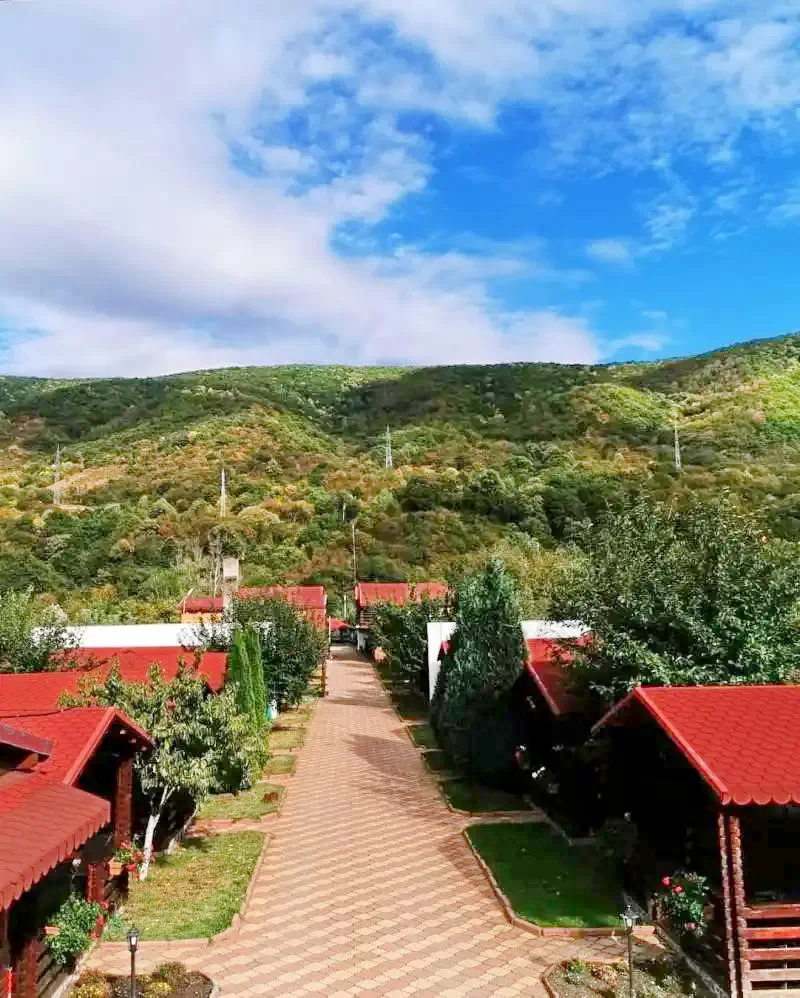 Szállás Băile Herculane - Căsuțele Casa Ecologică*** | Herkulesfürdő - Casa Ecologică Házak*** . A kép szerzői jogvédelem alatt állhat. Javasolt a kapcsolatfelvétel a jog tulajdonossal.