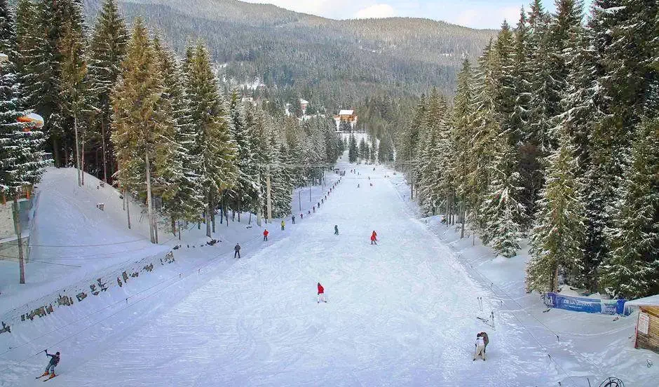 Hargitafürdő Szállás | Hotel*** (K0780-26) A kép szerzői jogvédelem alatt állhat. Javasolt a kapcsolatfelvétel a jog tulajdonossal.