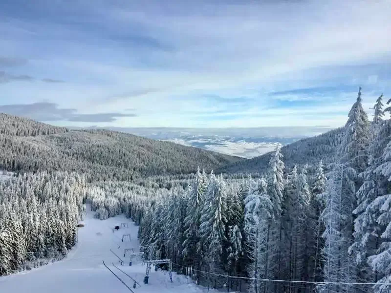 Hargitafürdő Szállás | Hotel*** (K0780-27) A kép szerzői jogvédelem alatt állhat. Javasolt a kapcsolatfelvétel a jog tulajdonossal.