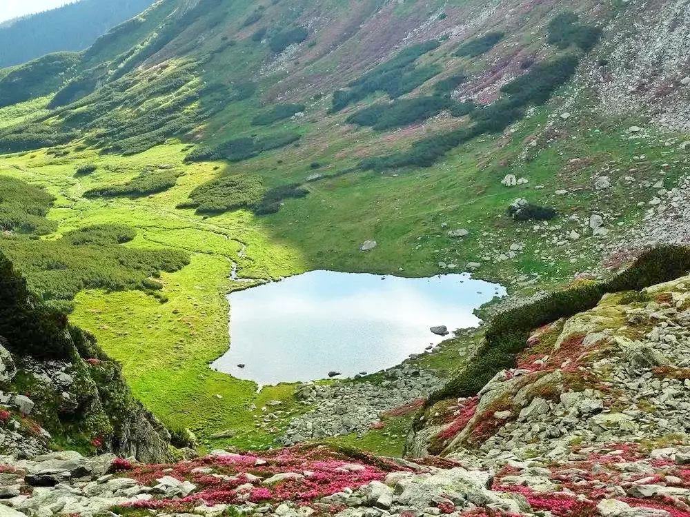 Muntii Rodnei, Lacul Iezer