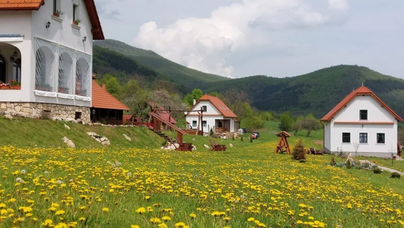 Torockó Szállás | Panzió (K1482-51) A kép szerzői jogvédelem alatt állhat. Javasolt a kapcsolatfelvétel a jog tulajdonossal.