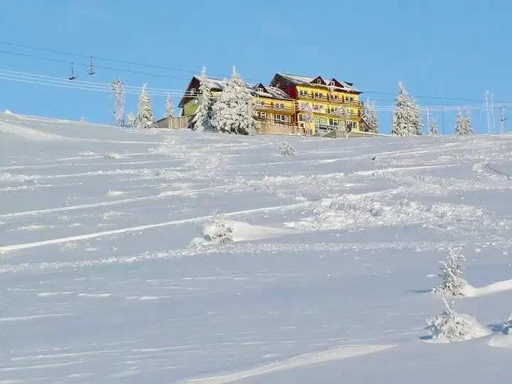 Páring-hegység, Petrozsény Szállás | Villa (K0683-72) A kép szerzői jogvédelem alatt állhat. Javasolt a kapcsolatfelvétel a jog tulajdonossal.