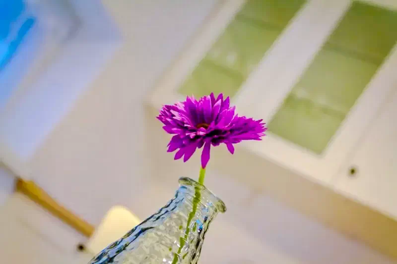  Cazare | Casă de oaspeți (K0606-18) Imaginea poate fi supusă drepturilor de autor. Se recomandă contactarea titularului drepturilor.