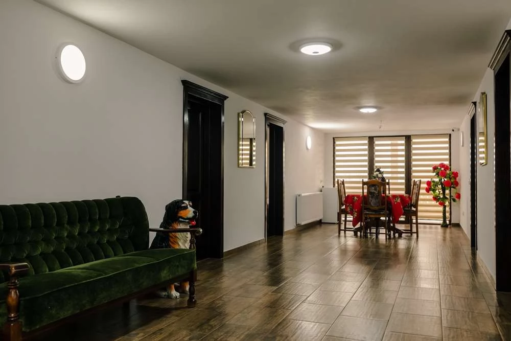 Colibița Cazare | Sat de vacanță (K1451-17) Imaginea poate fi supusă drepturilor de autor. Se recomandă contactarea titularului drepturilor.