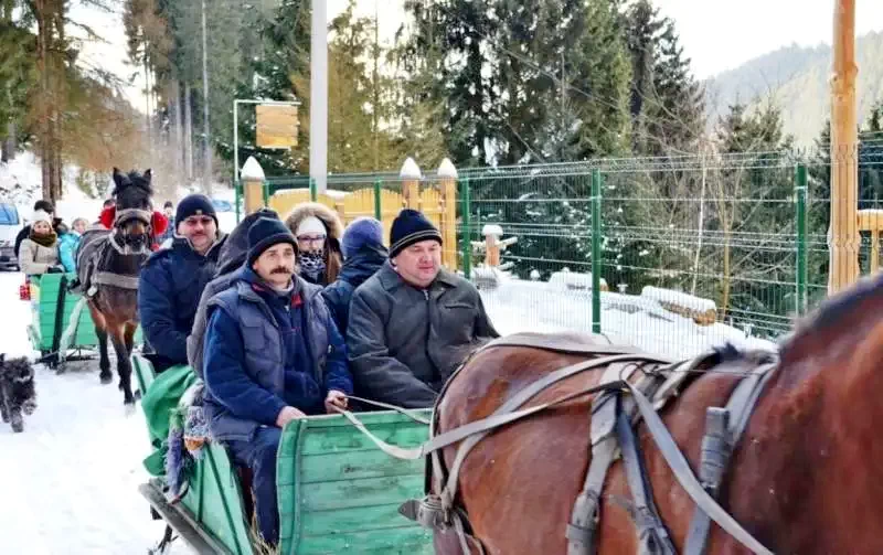 Gyergyószentmiklós Szállás | Panzió (K0255-22) A kép szerzői jogvédelem alatt állhat. Javasolt a kapcsolatfelvétel a jog tulajdonossal.