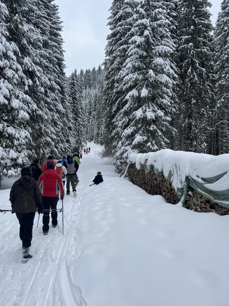 Szállás Padiș - Cabana Cetățile Ponorului*** | Padiș - Csodavár Panzió***. A kép szerzői jogvédelem alatt állhat. Javasolt a kapcsolatfelvétel a jog tulajdonossal.