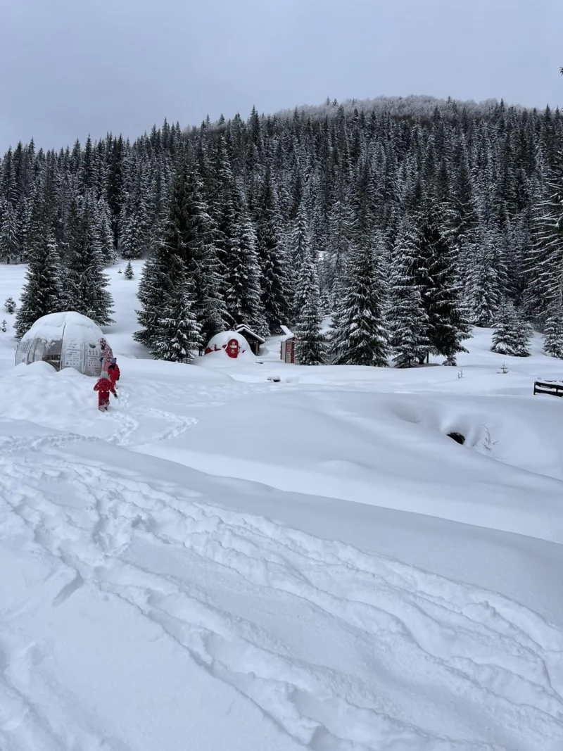 Szállás Padiș - Cabana Cetățile Ponorului*** | Padiș - Csodavár Panzió***. A kép szerzői jogvédelem alatt állhat. Javasolt a kapcsolatfelvétel a jog tulajdonossal.