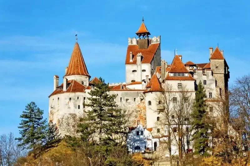 Szállás Zârnești - Pensiunea Hora cu Brazi*** | Zenest - Hora cu Brazi***. A kép szerzői jogvédelem alatt állhat. Javasolt a kapcsolatfelvétel a jog tulajdonossal.