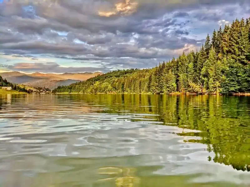 Colibița Cazare | Camping / Popas turistic (K1282-52) Imaginea poate fi supusă drepturilor de autor. Se recomandă contactarea titularului drepturilor.