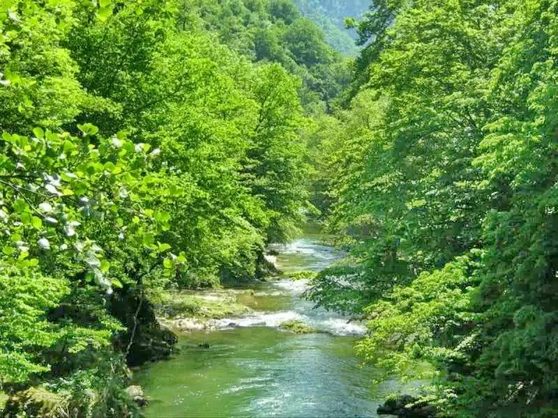 Szállás Băile Herculane - Pensiunea Magic*** | Herkulesfürdő - Magic Panzió***. A kép szerzői jogvédelem alatt állhat. Javasolt a kapcsolatfelvétel a jog tulajdonossal.