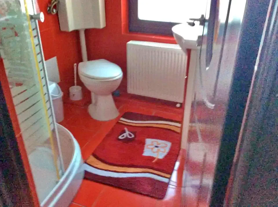 Sasca Română Cazare | Motel (K1273-14) Imaginea poate fi supusă drepturilor de autor. Se recomandă contactarea titularului drepturilor.