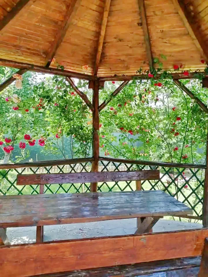 Sasca Română Cazare | Motel (K1273-35) Imaginea poate fi supusă drepturilor de autor. Se recomandă contactarea titularului drepturilor.