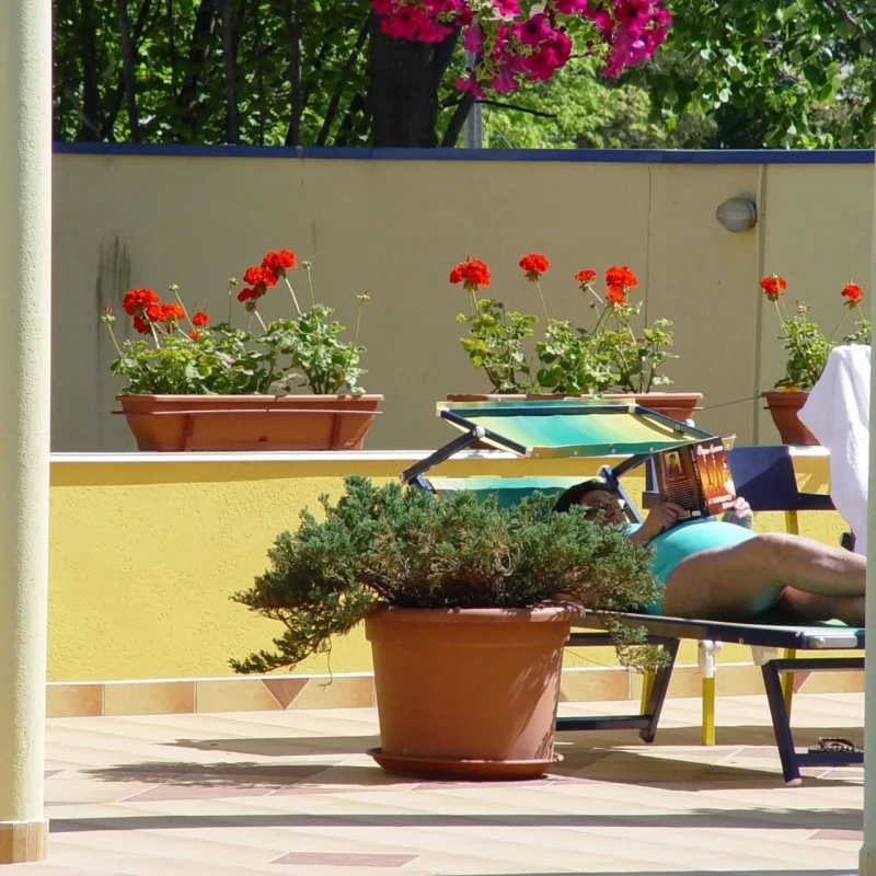 Hajdúszoboszló Szállás | Turisztikai panzió (K0169-45) A kép szerzői jogvédelem alatt állhat. Javasolt a kapcsolatfelvétel a jog tulajdonossal.