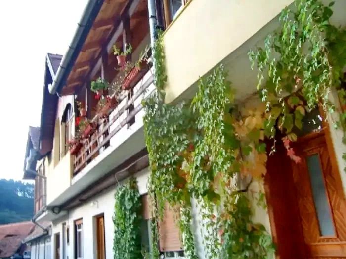 Resinár Szállás | Motel (K0394-17) A kép szerzői jogvédelem alatt állhat. Javasolt a kapcsolatfelvétel a jog tulajdonossal.