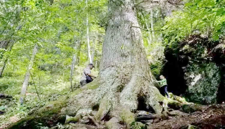 Gura Râului Cazare | Motel (K0431-20) Imaginea poate fi supusă drepturilor de autor. Se recomandă contactarea titularului drepturilor.