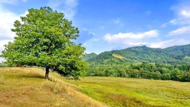  Szállás | Panzió (K0886-20) A kép szerzői jogvédelem alatt állhat. Javasolt a kapcsolatfelvétel a jog tulajdonossal.