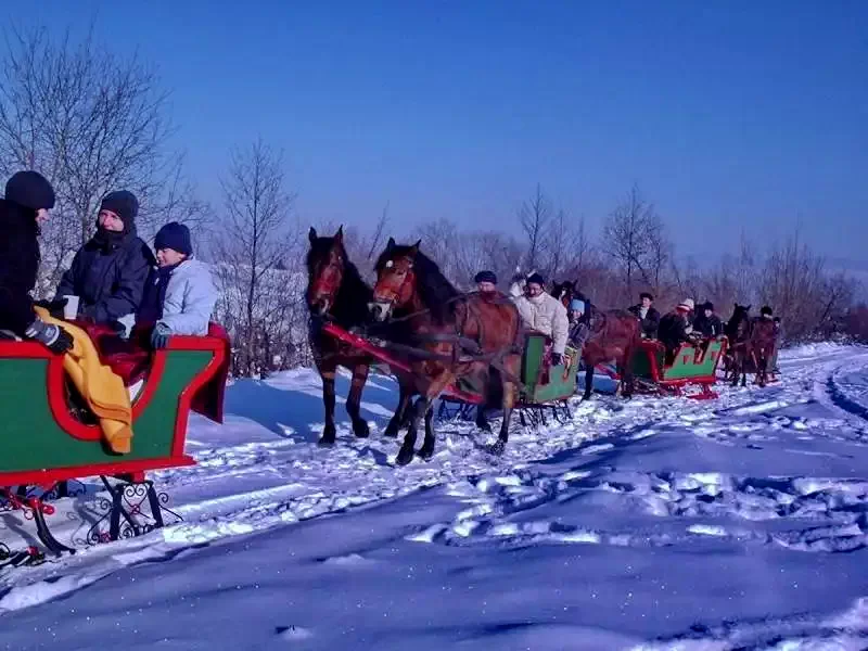 Szállás Băile Tușnad - Pensiunea Iris*** | Tusnádfürdő - Iris Panzió***. A kép szerzői jogvédelem alatt állhat. Javasolt a kapcsolatfelvétel a jog tulajdonossal.