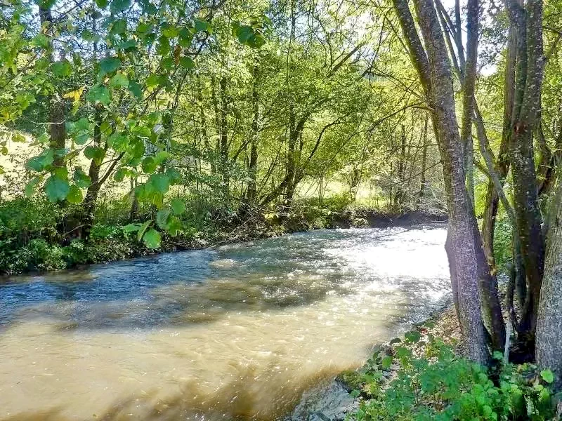 Zetelaki Víztározó Szállás | Kulcsosház (K1430-22) A kép szerzői jogvédelem alatt állhat. Javasolt a kapcsolatfelvétel a jog tulajdonossal.