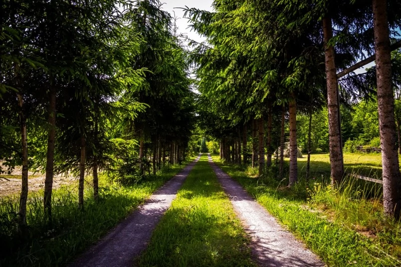 Borzont Szállás | Kulcsosház (K0494-52) A kép szerzői jogvédelem alatt állhat. Javasolt a kapcsolatfelvétel a jog tulajdonossal.