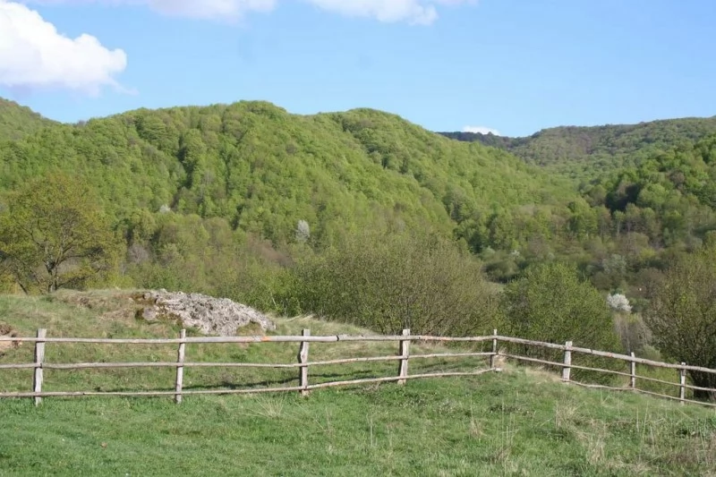 Bucsin-tető Szállás | Panzió (K0668-22) A kép szerzői jogvédelem alatt állhat. Javasolt a kapcsolatfelvétel a jog tulajdonossal.