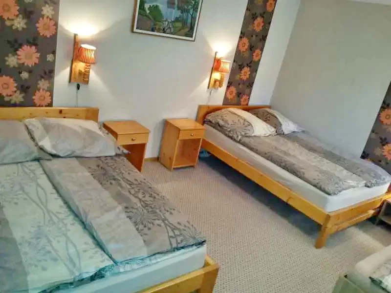 Izvoru Crișului Cazare | Hotel**** (K0983-12) Imaginea poate fi supusă drepturilor de autor. Se recomandă contactarea titularului drepturilor.