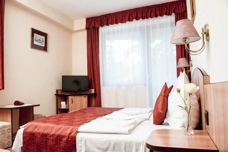 Budapesta Cazare | Hotel*** (K0504-6) Imaginea poate fi supusă drepturilor de autor. Se recomandă contactarea titularului drepturilor.