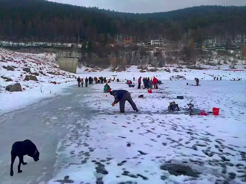 Sub Cetate Cazare | Cabană (K0499-99) Imaginea poate fi supusă drepturilor de autor. Se recomandă contactarea titularului drepturilor.