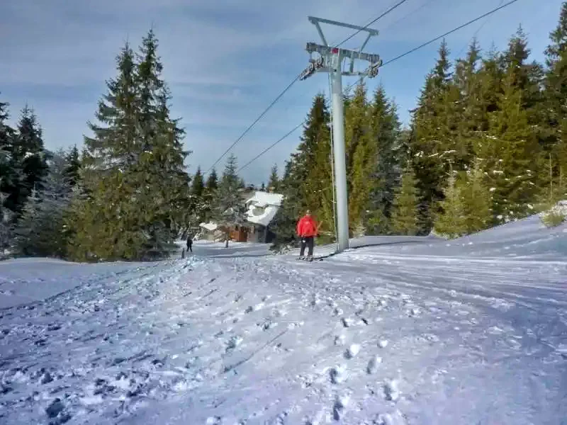 Szállás Zetea - Casa la cheie Nagy Lak III-VII.***|Zeteváralja - Nagy Lak III-VII. Kulcsosházak***. A kép szerzői jogvédelem alatt állhat. Javasolt a kapcsolatfelvétel a jog tulajdonossal.