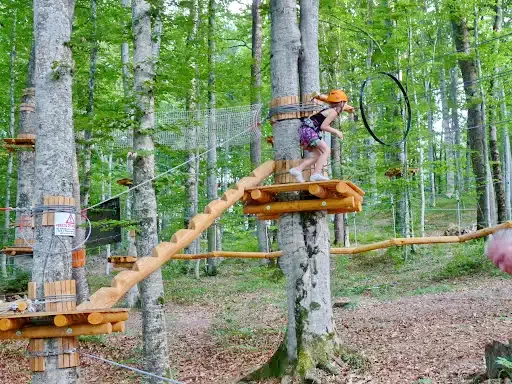 Szállás Sovata - Casa de vacanță Borbála*** | Szováta - Borbála Vadászház***. A kép szerzői jogvédelem alatt állhat. Javasolt a kapcsolatfelvétel a jog tulajdonossal.