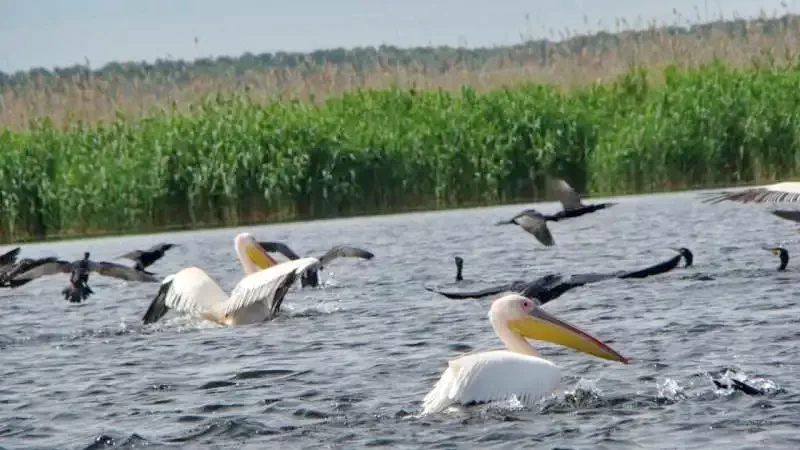 Băltenii de Sus Cazare | Motel (K1303-57) Imaginea poate fi supusă drepturilor de autor. Se recomandă contactarea titularului drepturilor.