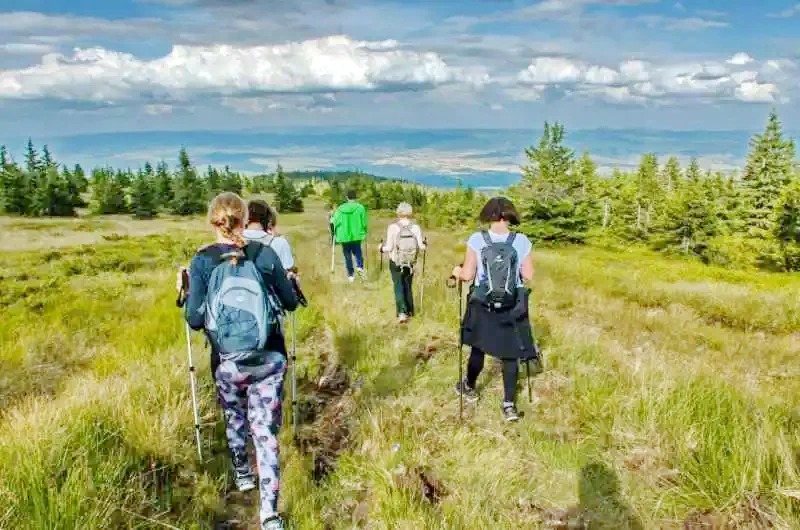 Madarasi Hargita Szállás | Fogadó (K1370-57) A kép szerzői jogvédelem alatt állhat. Javasolt a kapcsolatfelvétel a jog tulajdonossal.