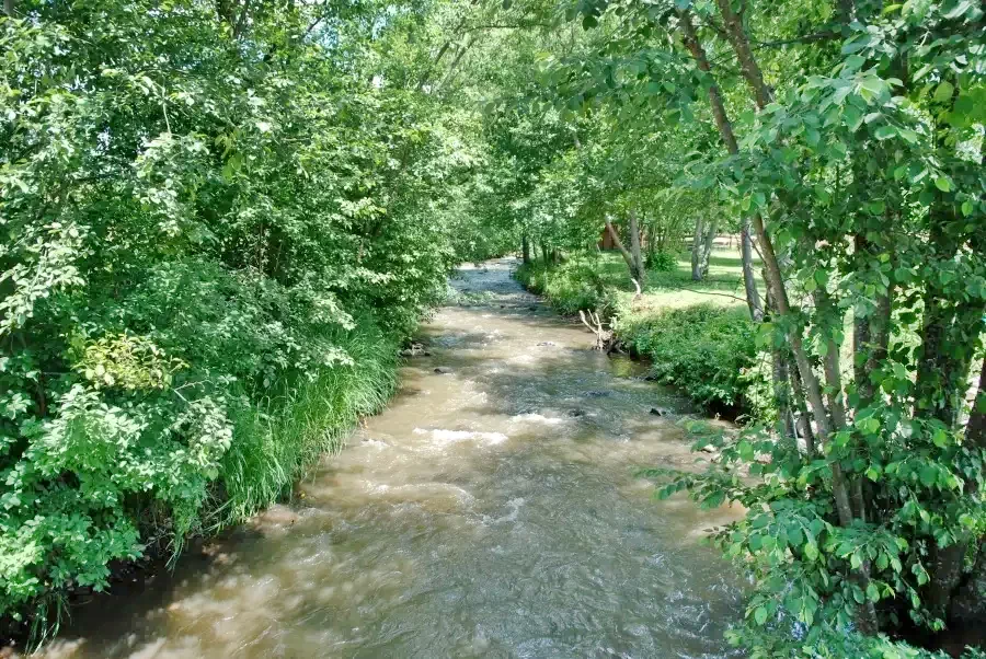 Szállás Izvoare - Casa la Cheie Balázs Matild|Ivó - Balázs Matild Kulcsosház. A kép szerzői jogvédelem alatt állhat. Javasolt a kapcsolatfelvétel a jog tulajdonossal.