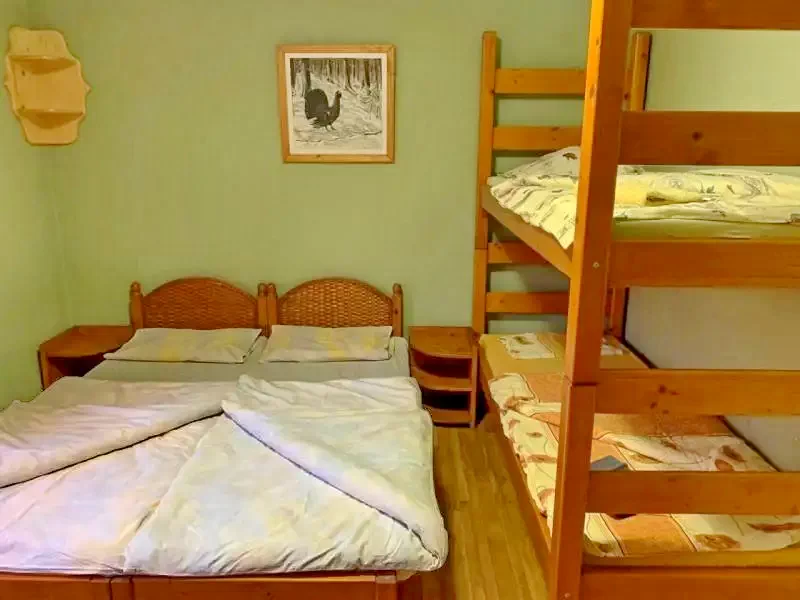 Zetea Cazare | Sat de vacanță (K0214-11) Imaginea poate fi supusă drepturilor de autor. Se recomandă contactarea titularului drepturilor.