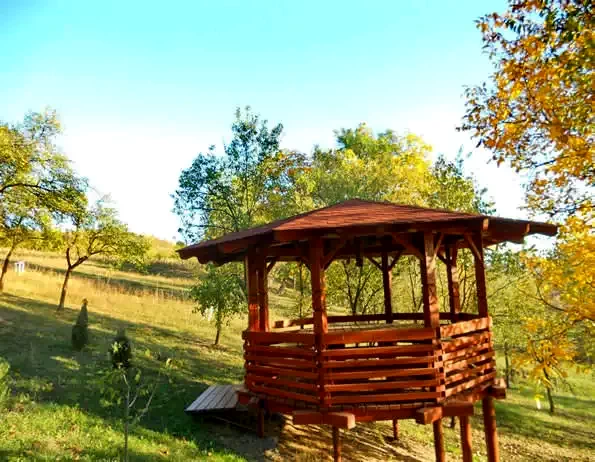 Szilágybagos Szállás | Panzió (K0709-16) A kép szerzői jogvédelem alatt állhat. Javasolt a kapcsolatfelvétel a jog tulajdonossal.