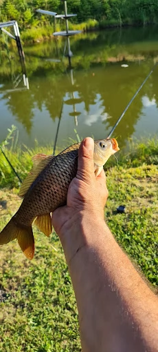 Kiskalota Szállás | Kulcsosház (K0641-20) A kép szerzői jogvédelem alatt állhat. Javasolt a kapcsolatfelvétel a jog tulajdonossal.