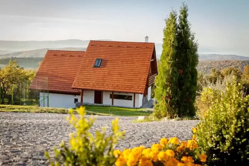 Székelypálfalva Szállás | Panzió (K0321-28) A kép szerzői jogvédelem alatt állhat. Javasolt a kapcsolatfelvétel a jog tulajdonossal.