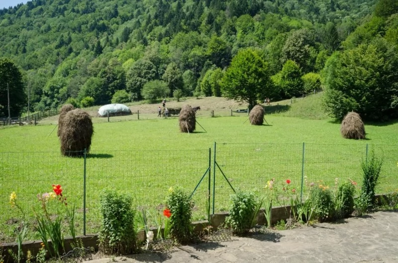 Tarkő Szállás | Villa (K0693-20) A kép szerzői jogvédelem alatt állhat. Javasolt a kapcsolatfelvétel a jog tulajdonossal.