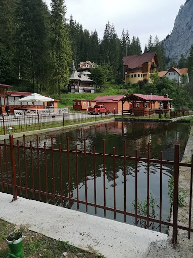 Szállás Lacu Roșu - Vila Bradul** | Gyilkostó - Bradul Villa**. A kép szerzői jogvédelem alatt állhat. Javasolt a kapcsolatfelvétel a jog tulajdonossal.