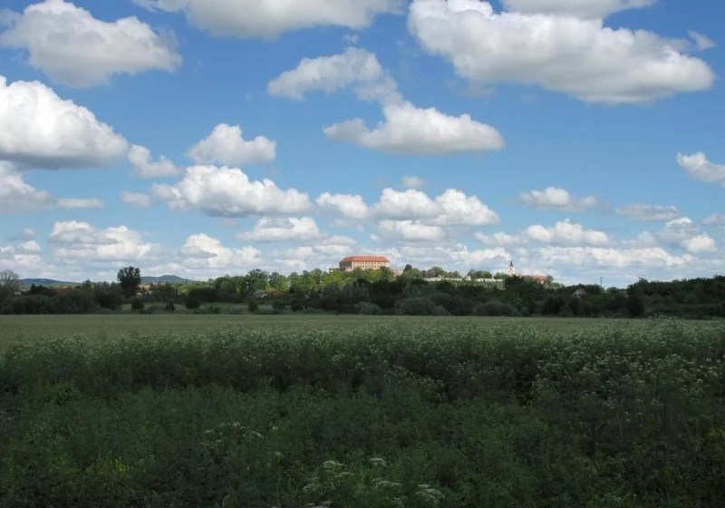 Harkány Szállás | Hotel*** (K1357-24) A kép szerzői jogvédelem alatt állhat. Javasolt a kapcsolatfelvétel a jog tulajdonossal.