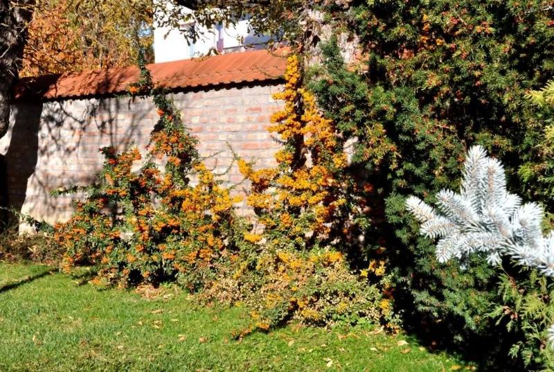 Harkány Szállás | Hotel*** (K1357-35) A kép szerzői jogvédelem alatt állhat. Javasolt a kapcsolatfelvétel a jog tulajdonossal.