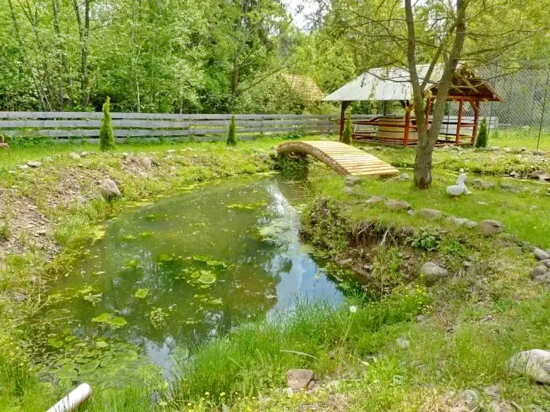 Libán Szállás | Kulcsosház (K1218-6) A kép szerzői jogvédelem alatt állhat. Javasolt a kapcsolatfelvétel a jog tulajdonossal.