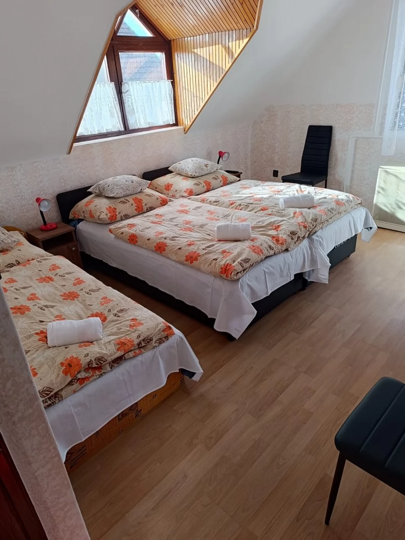  Cazare | Sat de vacanță (K0587-11) Imaginea poate fi supusă drepturilor de autor. Se recomandă contactarea titularului drepturilor.