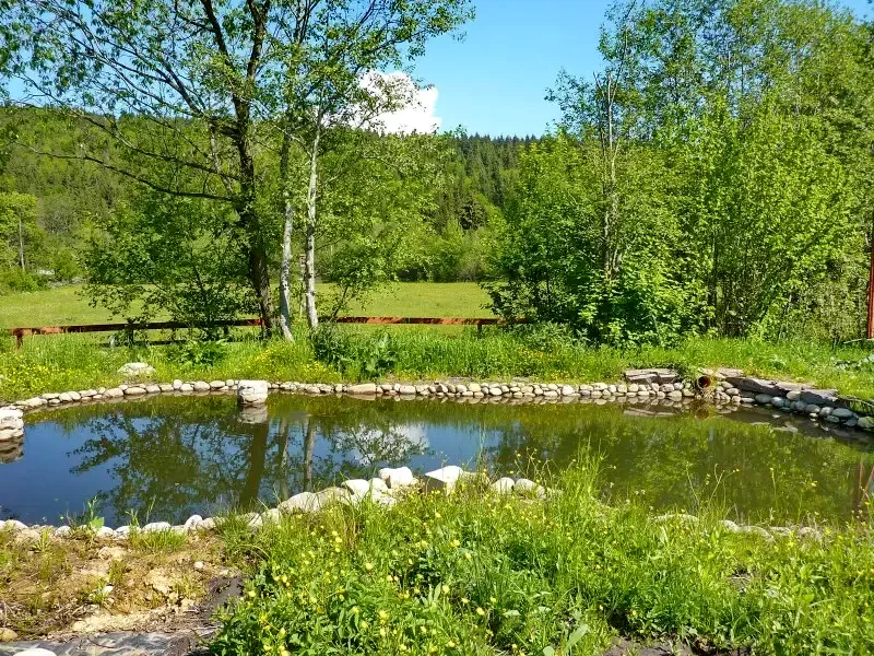 Szállás Izvoare - Casa la cheie Bíró Mária|Ivó - Bíró Mária Kulcsosház. A kép szerzői jogvédelem alatt állhat. Javasolt a kapcsolatfelvétel a jog tulajdonossal.