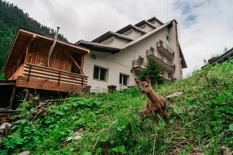 Szállás Cascada Bâlea - Cabana Bâlea Cascada*** | Bilea  Vízesés - Bâlea -Vízesés Menedékház***. A kép szerzői jogvédelem alatt állhat. Javasolt a kapcsolatfelvétel a jog tulajdonossal.