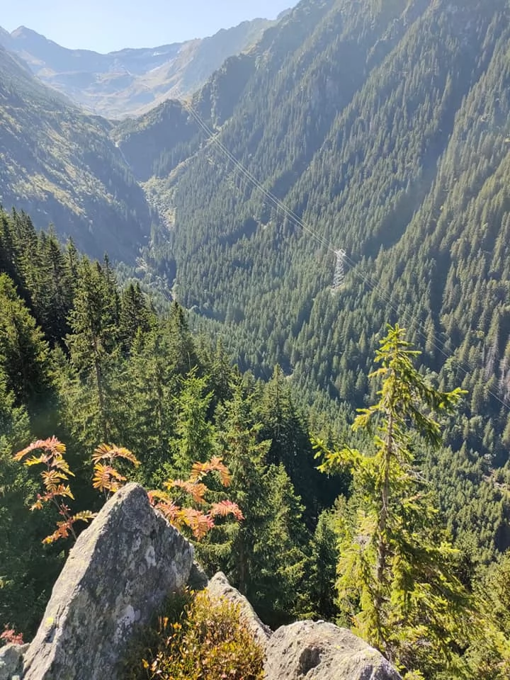 Szállás Cascada Bâlea - Cabana Bâlea Cascada*** | Bilea  Vízesés - Bâlea -Vízesés Menedékház***. A kép szerzői jogvédelem alatt állhat. Javasolt a kapcsolatfelvétel a jog tulajdonossal.