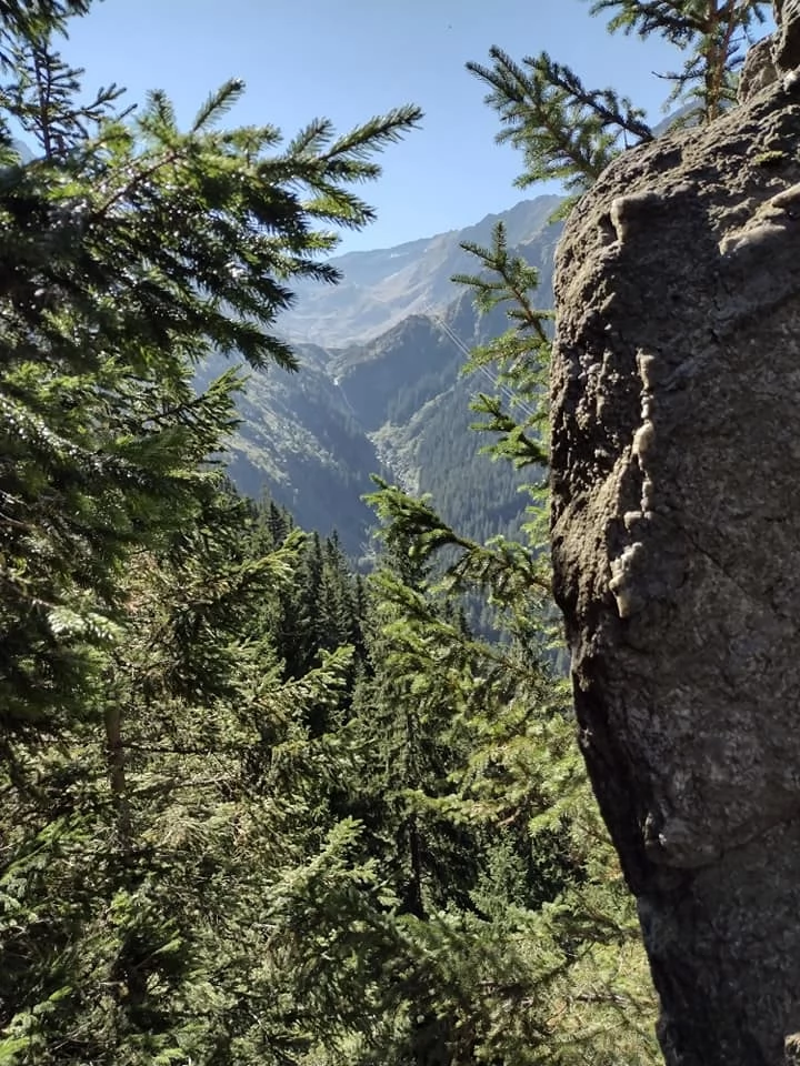 Szállás Cascada Bâlea - Cabana Bâlea Cascada*** | Bilea  Vízesés - Bâlea -Vízesés Menedékház***. A kép szerzői jogvédelem alatt állhat. Javasolt a kapcsolatfelvétel a jog tulajdonossal.