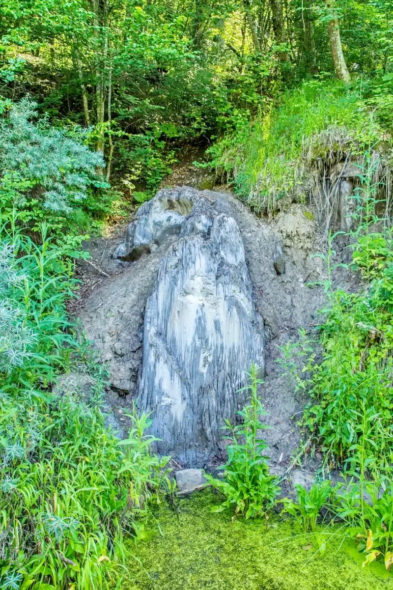 Szováta Szállás | Panzió (K0651-28) A kép szerzői jogvédelem alatt állhat. Javasolt a kapcsolatfelvétel a jog tulajdonossal.