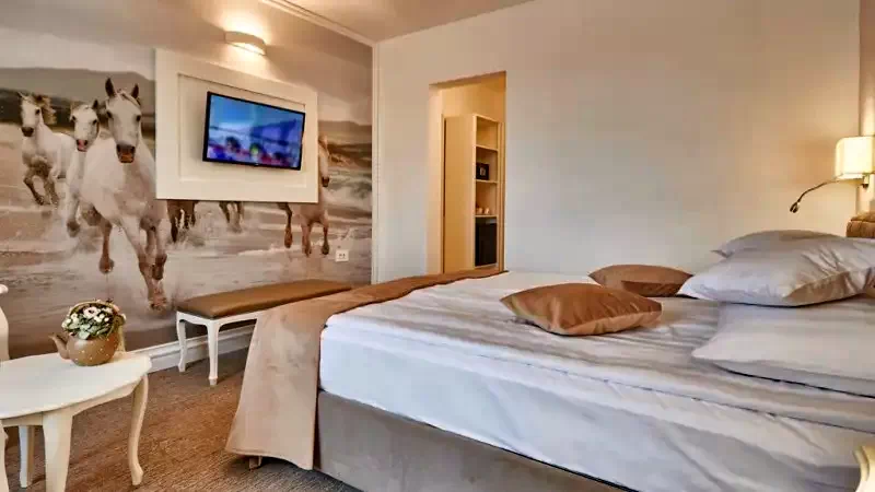 Szállás Târgu Mureș - Hotel Continental**** | Marosvásárhely - Continental Hotel****. A kép szerzői jogvédelem alatt állhat. Javasolt a kapcsolatfelvétel a jog tulajdonossal.