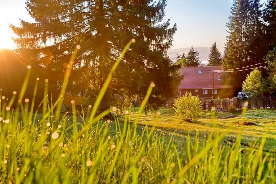 Hargitafürdő Szállás | Panzió (K1238-37) A kép szerzői jogvédelem alatt állhat. Javasolt a kapcsolatfelvétel a jog tulajdonossal.